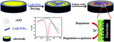 Graphical abstract: Fabrication of metal–organic single crystalline nanowires and reduced graphene oxide enhancement for an ultrasensitive electrochemical biosensor