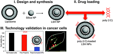 Graphical abstract: Killing cancer cells using nanotechnology: novel poly(I:C) loaded liposome–silica hybrid nanoparticles