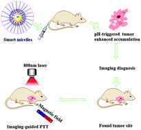 Graphical abstract: A highly effective in vivo photothermal nanoplatform with dual imaging-guided therapy of cancer based on the charge reversal complex of dye and iron oxide