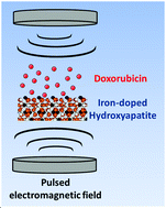 Graphical abstract: Superparamagnetic iron-doped nanocrystalline apatite as a delivery system for doxorubicin