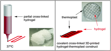 Graphical abstract: Biofabrication of reinforced 3D-scaffolds using two-component hydrogels