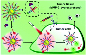 Graphical abstract: Tumor targeted gold nanoparticles for FRET-based tumor imaging and light responsive on-demand drug release