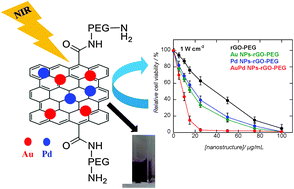 Graphical abstract: Reduced graphene oxide nanosheets decorated with AuPd bimetallic nanoparticles: a multifunctional material for photothermal therapy of cancer cells