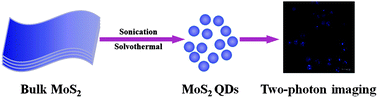 Graphical abstract: A facile and one-step ethanol-thermal synthesis of MoS2 quantum dots for two-photon fluorescence imaging