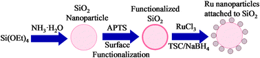 Graphical abstract: Bioactive SiO2@Ru nanoparticles for osteogenic differentiation of mesenchymal stem cells via activation of Akt signaling pathways