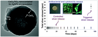 Graphical abstract: Synthesis, characterization, antibacterial activity and cytotoxicity of hollow TiO2-coated CeO2 nanocontainers encapsulating silver nanoparticles for controlled silver release