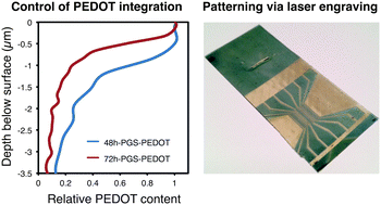 Graphical abstract: A conductive stretchable PEDOT–elastomer hybrid with versatile processing and properties