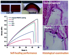 Graphical abstract: A self-healing, re-moldable and biocompatible crosslinked polysiloxane elastomer