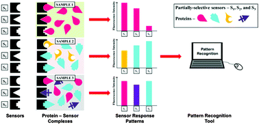 Graphical abstract: Tunable GUMBOS-based sensor array for label-free detection and discrimination of proteins