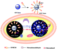 Graphical abstract: Photoresponsive real time monitoring silicon quantum dots for regulated delivery of anticancer drugs