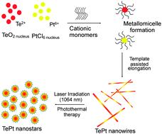 Graphical abstract: Tellurium platinate nanowires for photothermal therapy of cancer cells
