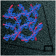 Graphical abstract: Protein release from highly charged peptide hydrogel networks