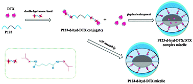 Graphical abstract: Polymeric complex micelles based on the double-hydrazone linkage and dual drug-loading strategy for pH-sensitive docetaxel delivery