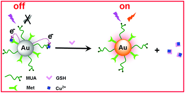 Graphical abstract: Dual ligand co-functionalized fluorescent gold nanoclusters for the “turn on” sensing of glutathione in tumor cells