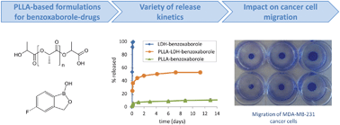 Graphical abstract: Formulation of benzoxaborole drugs in PLLA: from materials preparation to in vitro release kinetics and cellular assays