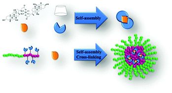 Graphical abstract: The dual-role of Pt(iv) complexes as active drug and crosslinker for micelles based on β-cyclodextrin grafted polymer