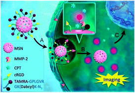 Graphical abstract: MMP-responsive theranostic nanoplatform based on mesoporous silica nanoparticles for tumor imaging and targeted drug delivery