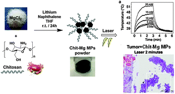 Graphical abstract: One-pot synthesis of magnesium nanoparticles embedded in a chitosan microparticle matrix: a highly biocompatible tool for in vivo cancer treatment