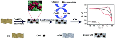 Graphical abstract: Microwave synthesis of 3D rambutan-like CuO and CuO/reduced graphene oxide modified electrodes for non-enzymatic glucose detection