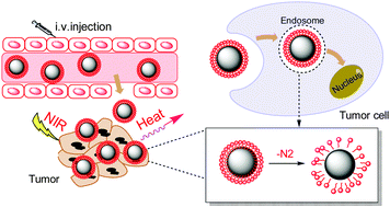 Graphical abstract: Azo-functionalized Fe3O4 nanoparticles: a near-infrared light triggered drug delivery system for combined therapy of cancer with low toxicity