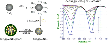 Graphical abstract: Synthesis of a three-layered SiO2@Au nanoparticle@polyaniline nanocomposite and its application in simultaneous electrochemical detection of uric acid and ascorbic acid