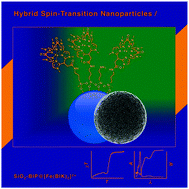Graphical abstract: Versatile nano-platforms for hybrid systems: expressing spin-transition behavior on nanoparticles
