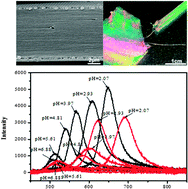 Graphical abstract: Optical sensor based on hydrogel films with 2D colloidal arrays attached on both the surfaces: anti-curling performance and enhanced optical diffraction intensity