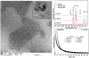 Graphical abstract: Polydimethylsiloxane composites containing core-only lanthanide-doped oleylamine-stabilized LaF3 nanoparticles with high emission lifetimes