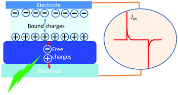Graphical abstract: Organic optoelectronic interfaces with anomalous transient photocurrent