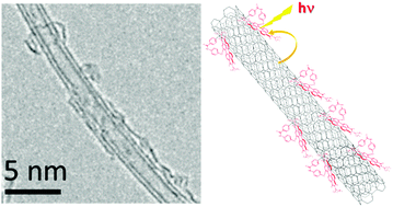 Graphical abstract: Covalent decoration onto the outer walls of double walled carbon nanotubes with perylenediimides