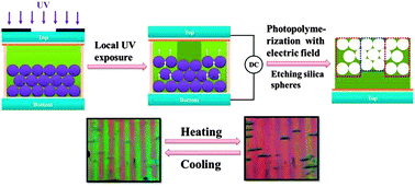 Graphical abstract: Bio-inspired thermal-responsive inverse opal films with dual structural colors based on liquid crystal elastomer