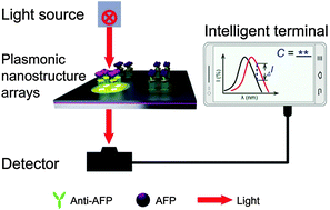 Graphical abstract: Well-designed metal nanostructured arrays for label-free plasmonic biosensing