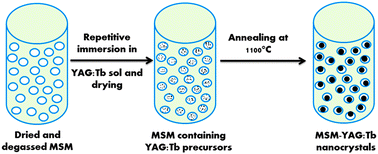 Graphical abstract: In situ synthesis of a highly crystalline Tb-doped YAG nanophosphor using the mesopores of silica monoliths as a template