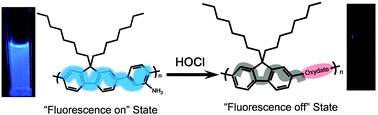 Graphical abstract: Development of a conjugated polymer-based fluorescent probe for selective detection of HOCl