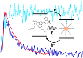 Graphical abstract: Opto-electronics of PbS quantum dot and narrow bandgap polymer blends