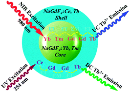 Graphical abstract: Achieving efficient Tb3+ dual-mode luminescence via Gd-sublattice-mediated energy migration in a NaGdF4 core–shell nanoarchitecture