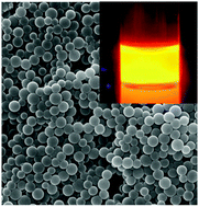 Graphical abstract: Photostable phosphorescent polymer nanospheres for high sensitivity detection