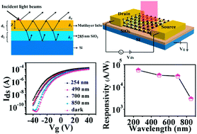 Graphical abstract: Ultrahigh photo-responsivity and detectivity in multilayer InSe nanosheets phototransistors with broadband response