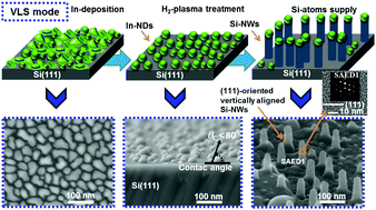 Graphical abstract: Control of verticality and (111) orientation of In-catalyzed silicon nanowires grown in the vapour–liquid–solid mode for nanoscale device applications