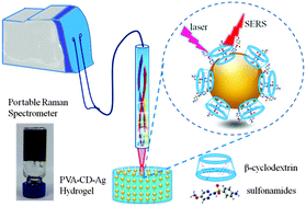 Graphical abstract: Preparation of a native β-cyclodextrin modified plasmonic hydrogel substrate and its use as a surface-enhanced Raman scattering scaffold for antibiotics identification