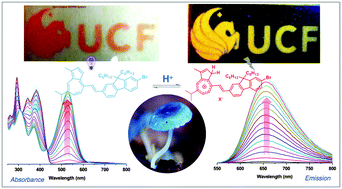 Graphical abstract: Chromophoric materials derived from a natural azulene: syntheses, halochromism and one-photon and two-photon microlithography