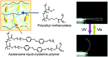 Graphical abstract: Photomobile materials with interpenetrating polymer networks composed of liquid-crystalline and amorphous polymers