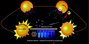 Graphical abstract: Glycol modified gadolinium oxide nanoparticles as a potential template for selective and sensitive detection of 4-nitrophenol