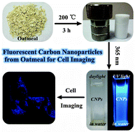 Graphical abstract: A facile, green synthesis of highly fluorescent carbon nanoparticles from oatmeal for cell imaging