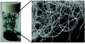 Graphical abstract: Self-assembly of tetra(aniline) nanowires in acidic aqueous media with ultrasonic irradiation