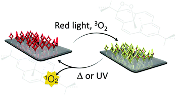 Graphical abstract: A new surface-bound molecular switch based on the photochromic dimethyldihydropyrene with light-driven release of singlet oxygen properties