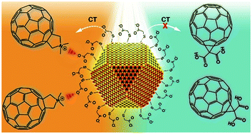 Graphical abstract: The impact of electrostatic interactions on ultrafast charge transfer at Ag29 nanoclusters–fullerene and CdTe quantum dots–fullerene interfaces
