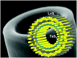 Graphical abstract: Tubular structures from the LnS–TaS2 (Ln = La, Ce, Nd, Ho, Er) and LaSe–TaSe2 misfit layered compounds