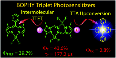 Graphical abstract: Triplet excited state of diiodoBOPHY derivatives: preparation, study of photophysical properties and application in triplet–triplet annihilation upconversion