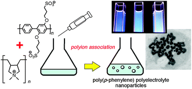 Graphical abstract: Size and morphology effects on the fluorescence properties of π-conjugated poly(p-phenylene) polyelectrolyte nanoparticles synthesized via polyion association